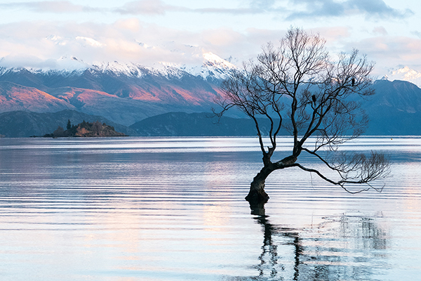 ABOUT-hamish-clark-365162-unsplash ABOUT-hamish-clark-365162-unsplash